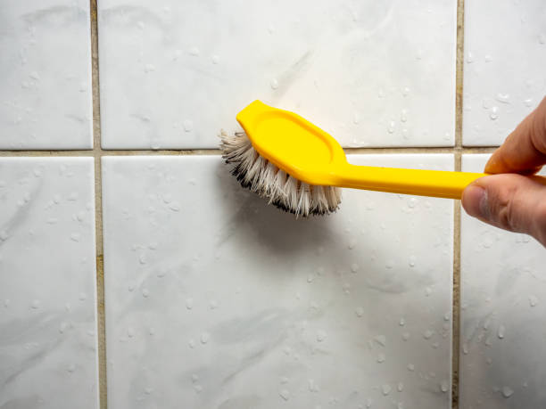 Best Mold Remediation  in Lakewood, CA