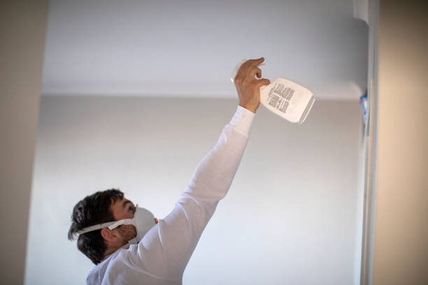 Best Commercial Mold Removal  in Lakewood, CA